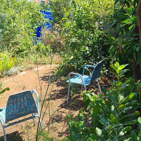 Studio Apartment Garden Dubrownik Zewnętrze zdjęcie