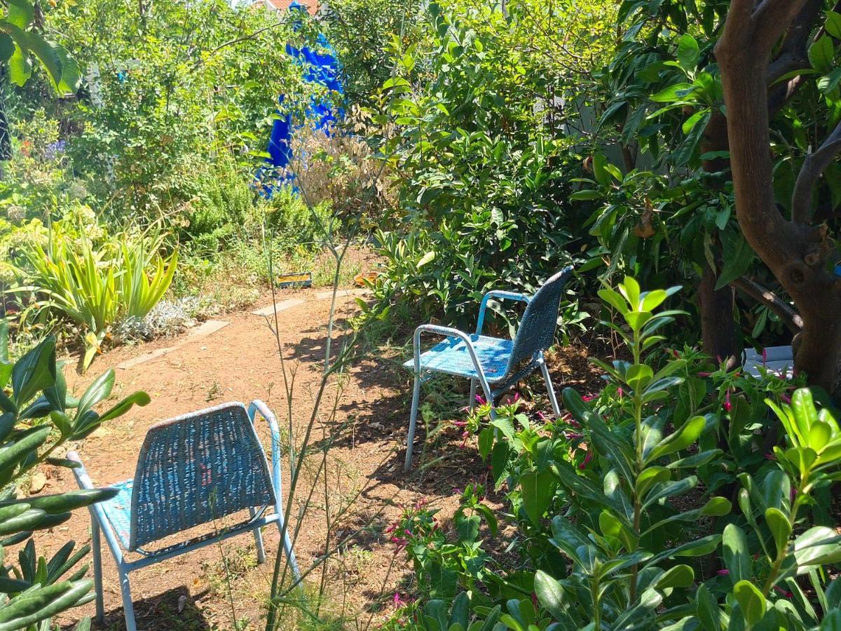 Studio Apartment Garden Dubrownik Zewnętrze zdjęcie